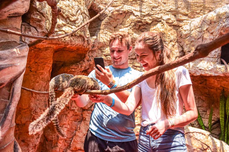 Animal Sanctuary