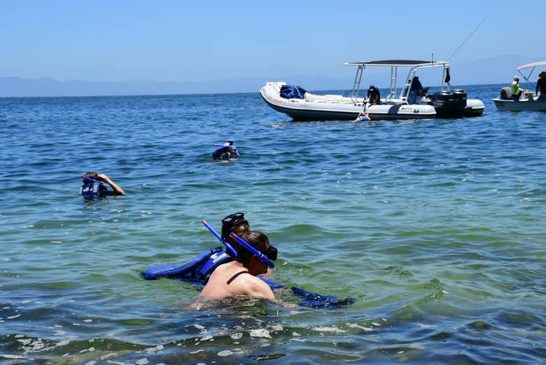 Snorkel em Puerto Vallarta Reserve online em Portugal