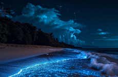 Paseo en lancha al atardecer y bioluminiscencia en Los Arcos de Mismaloya