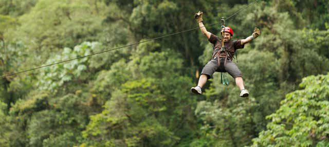 Jungle Zipline Adventure