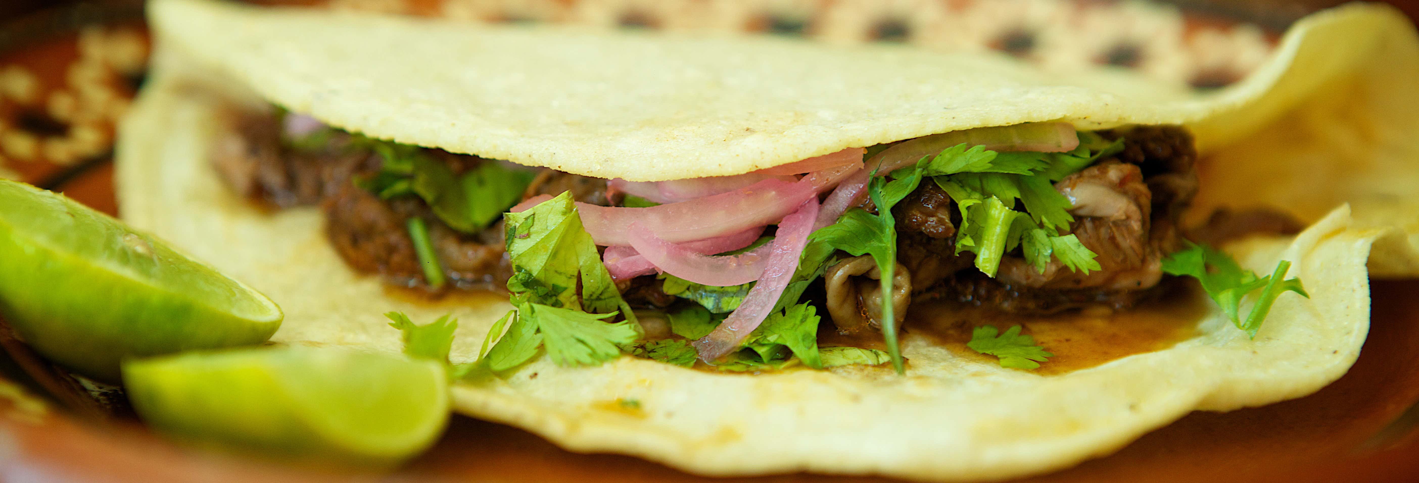 Gastronomía y enoturismo en Puerto Vallarta