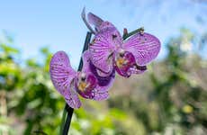 Visite du Jardin Botanique de Vallarta