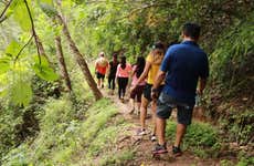 Tour por el Jardín Botánico y Los Veranos
