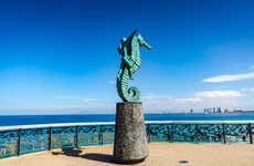 Tour privado por Puerto Vallarta