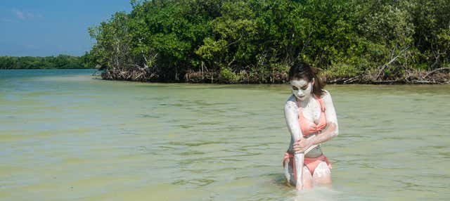 Ria Lagartos Mangroves Mudbath