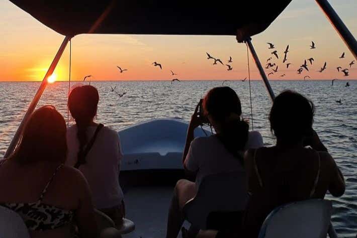 Evening Cruise Ria Lagartos