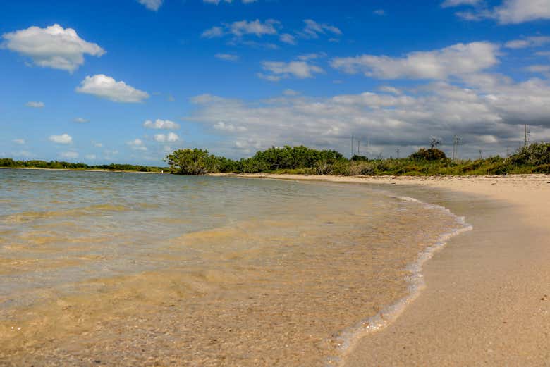 Playa de Río Lagartos