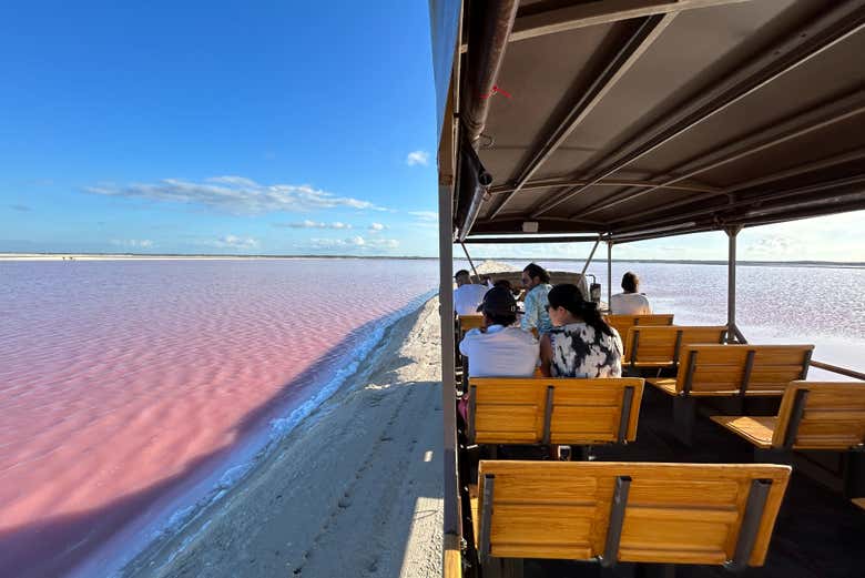 Recorriendo Las Coloradas