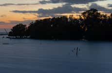 Paseo nocturno en barco por los manglares