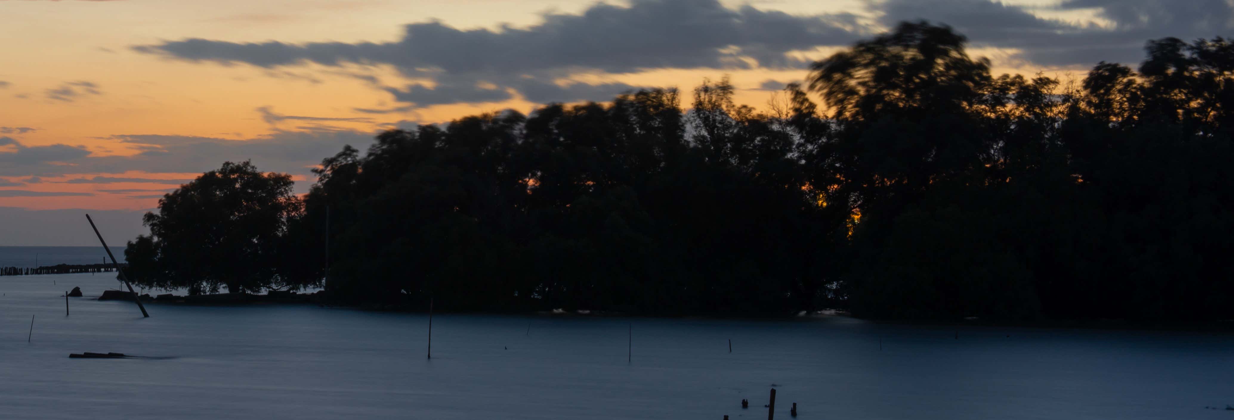 Paseos en barco en Río Lagartos