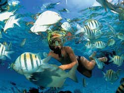 Snorkel en Xel-Ha
