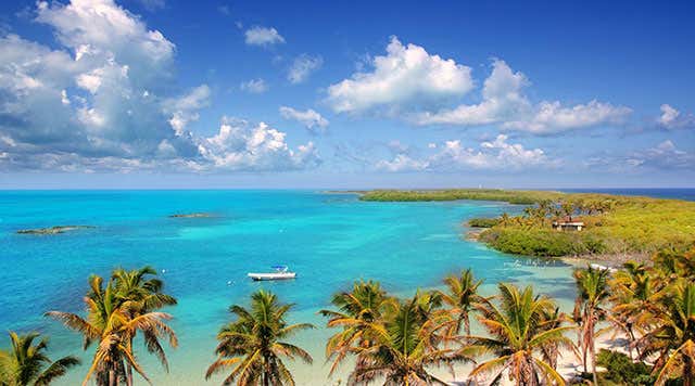 Quintana Roo 2025: En esta isla puedes vacacionar con tortugas
