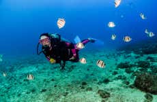 Las Caletas Scuba Diving Introduction