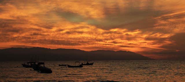 Riviera Nayarit Dinner Cruise & Show