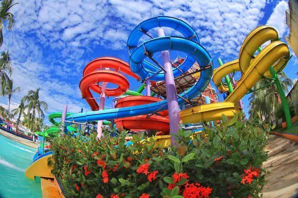 Aquaventuras Park Ticket