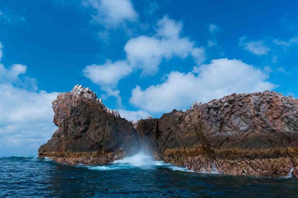 Excursion à Punta Mita et aux îles Marietas