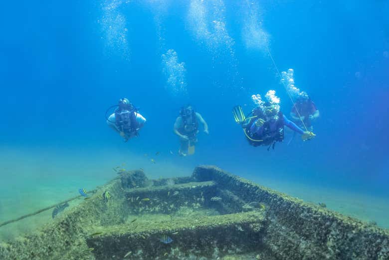 Descubriendo los secretos del fondo marino