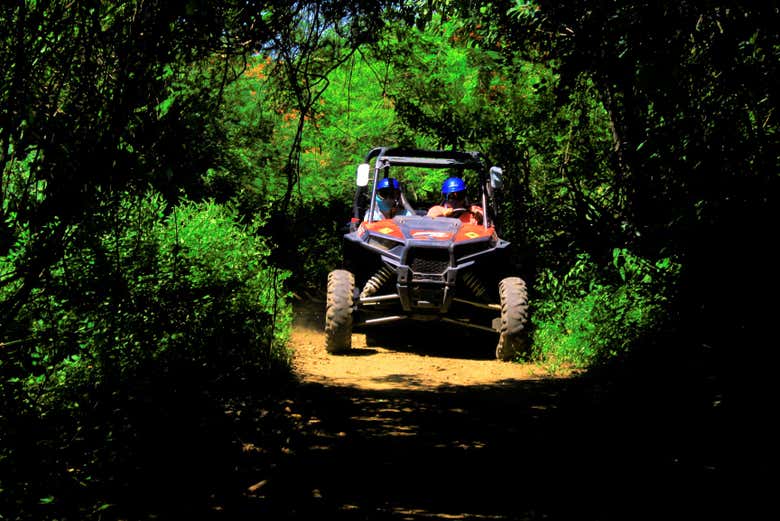 Profitez de l'expérience en buggy