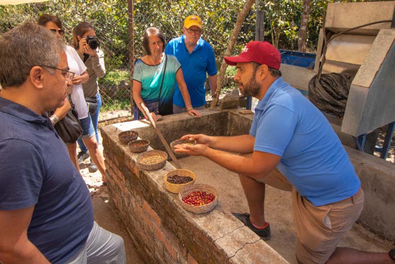 Escuchando las explicaciones del guía