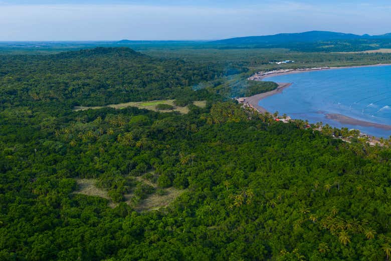 Vista aérea dos bosques de Nayarit