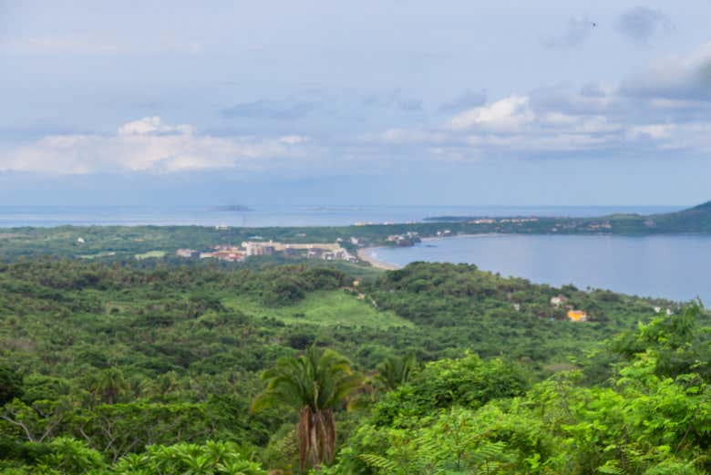 Jungle tropicale de Riviera Nayarit
