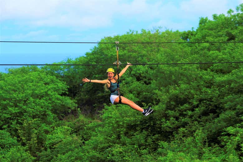 Survolez la jungle tropicale