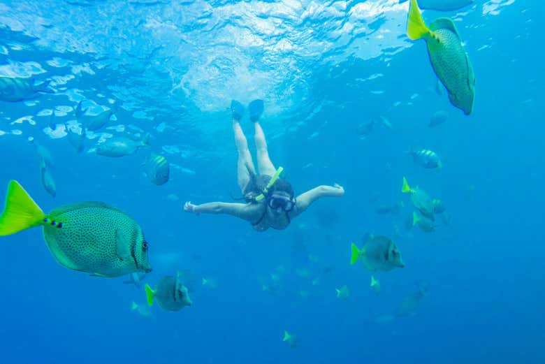 Haciendo snorkel
