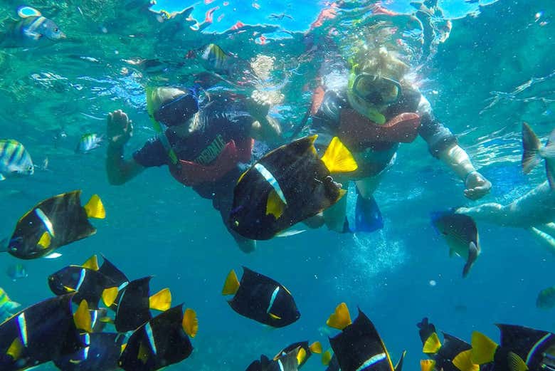 Investigando los fondos de Las Caletas