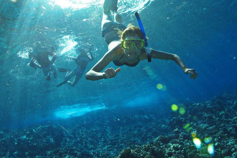 Snorkel nas Marietas