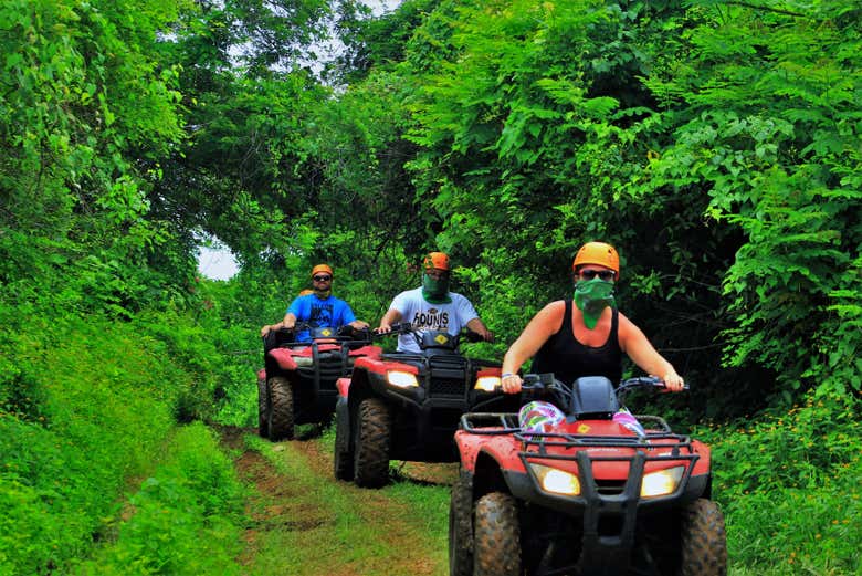 Explorando os bosques