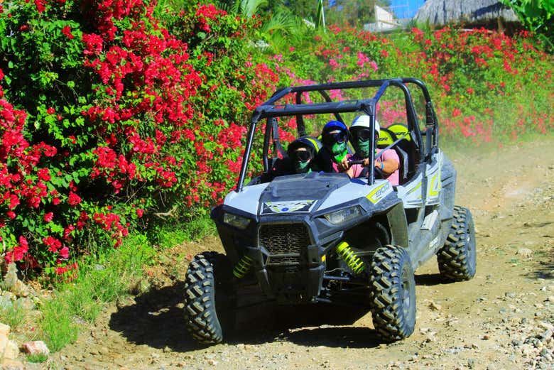 Balade en buggy