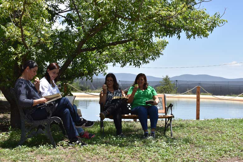 Vous passerez un agréable moment
