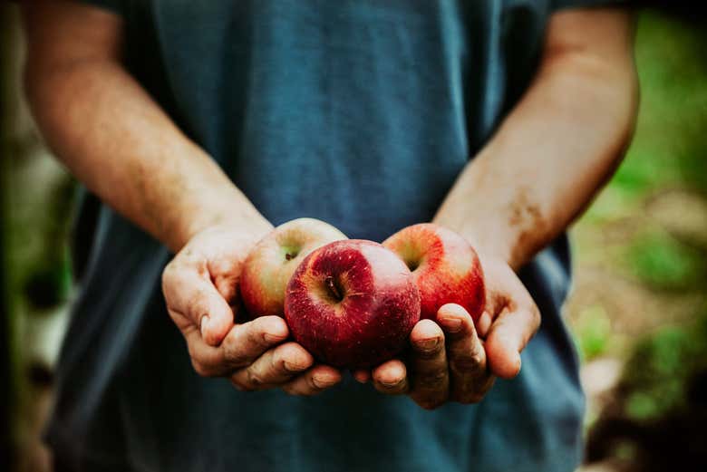 Les délicieuses pommes de Huerta Los Balcones