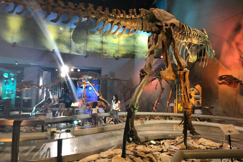 Go on a guided tour of the Desert Museum