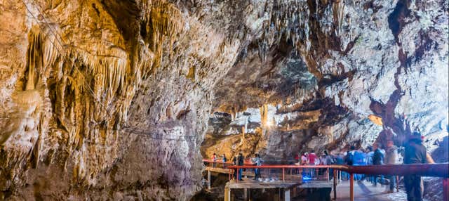 Excursión al Parque Ecoturístico Rancho Nuevo y El Arcotete