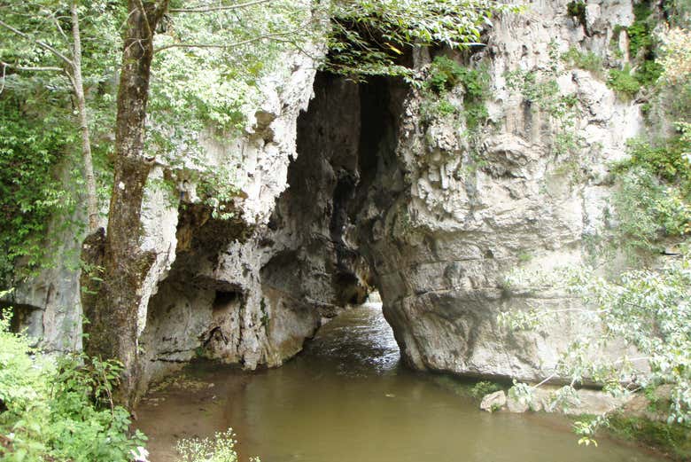 O Arcotete