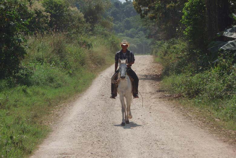 Disfrutando del camino 