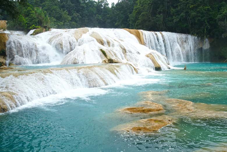 Agua Azul waterfalls