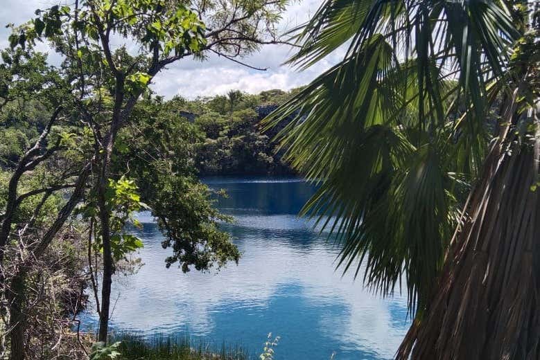 O cenote Chukumaltik é cercado por uma vegetação exuberante