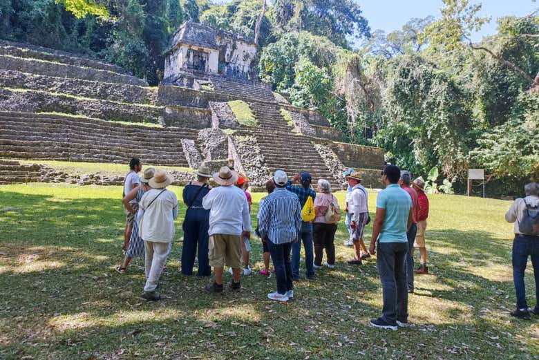 Gain deeper insights into Maya history