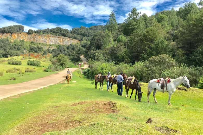 Paseo a caballo