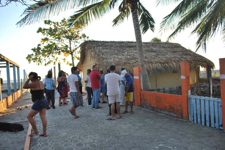 Beach houses in Chiapas