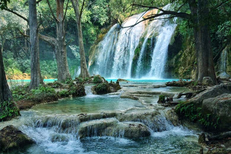 Realizaremos un recorrido guiado por las cascadas de Tzimol