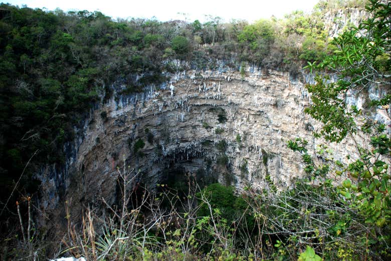 Vous en resterez bouche bée !