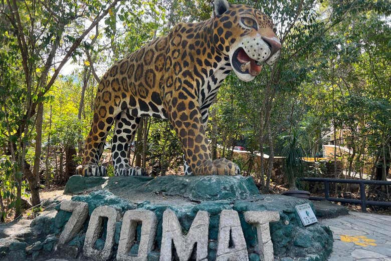 Bienvenue à ZOOMAT! 