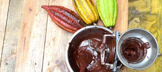 Visita guiada por el Museo del Cacao Kakaw