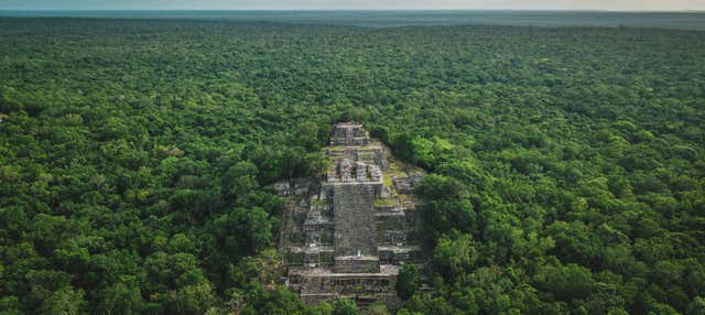 Excursión a Calakmul y Balamkú