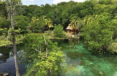 Excursión a Los Petenes en lancha rápida