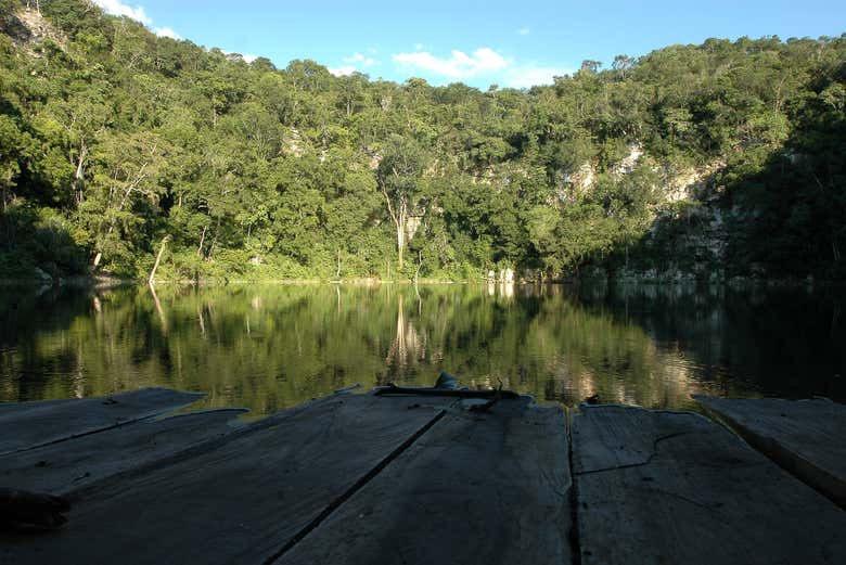 Cenote del parque Miguel Colorado