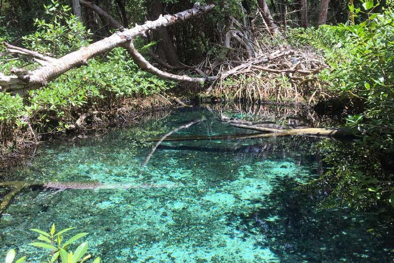 Ojo de agua